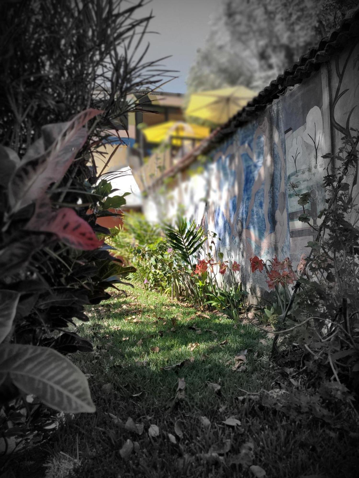 Hotel Art & Coffee Santa Cruz La Laguna Exteriér fotografie